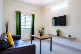 HelloWorld Fern srp image